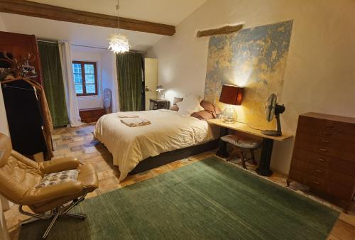 Spacious stylish Provencal house with terrace in Saignon