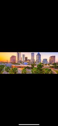 Diamond 1 in Tampa, USA