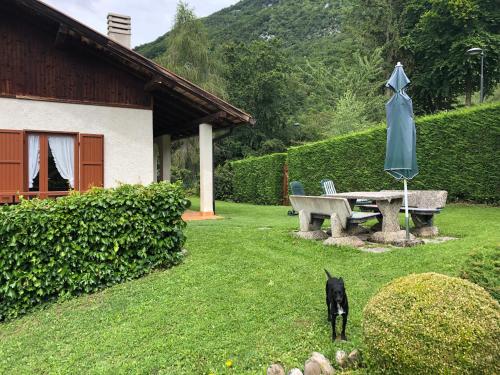 Appartamento a Lagolo 5