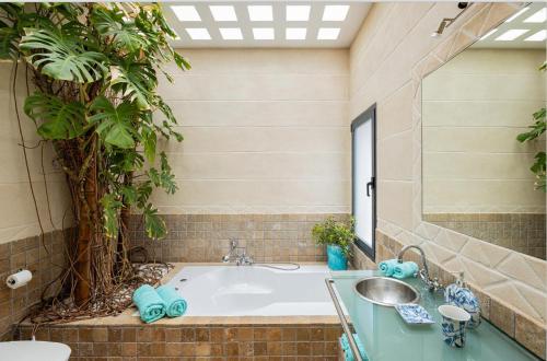 Villa Leonor Villa Leonor