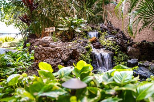 Maui Vistas #3419 condo - image 14