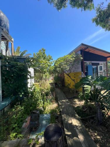 Biodiversidad in La Pedrera