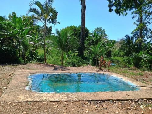 Casa jungla bahía Drake