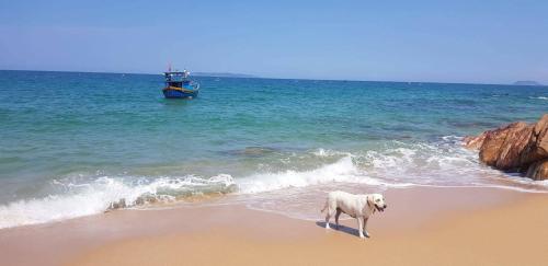 Life's A Beach