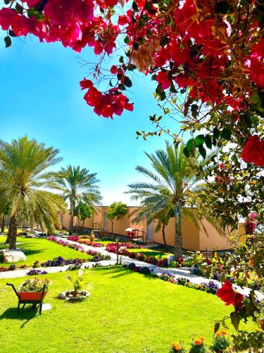 The View, Al Hamra (fotografie 9)