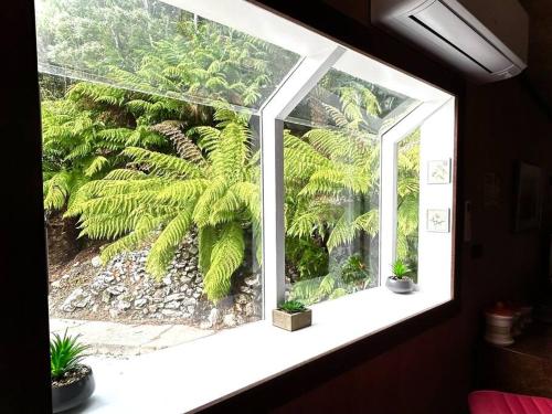 Conlan Springs Cottage in Queenstown