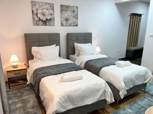 Apartmani Profesional Pajkovic
