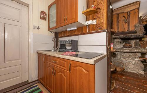 virtuve, Lovely Home In Begovo Razdolje With Wifi in Begovo Razdolje