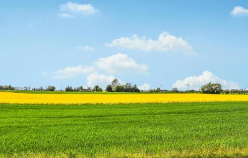 外部景觀, 1 Bedroom Nice Home In Skåne Tranås (1 Bedroom Nice Home In Skane Tranas) in 聖奧洛夫