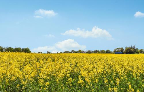 外部景觀, 1 Bedroom Nice Home In Skåne Tranås (1 Bedroom Nice Home In Skane Tranas) in 聖奧洛夫