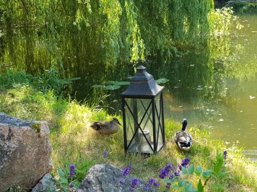 Le Moulin de L'O - L'Orle Nature