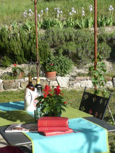 Garden, Agriturismo Serracanina in Cagli