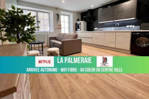 LA PALMERAIE -wifi fibre- centre ville -PROPERTY RENTAL NM