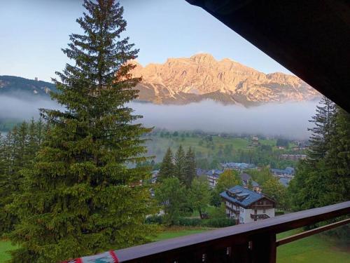 Lovely apartment in Cortina d'Ampezzo