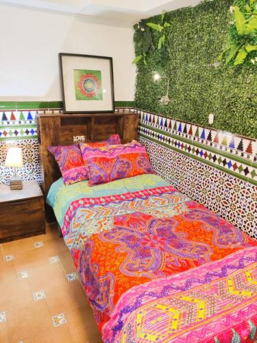 Lola´s winery house, andalusian patio, Granada (fotografie 4)