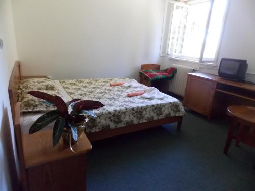 Deluxe Double Room with Bath
