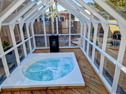 Seashell Albatross Boutique Apartment in Kesterciems