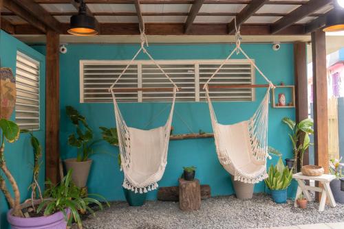 Garden, Casa Coral in Luquillo