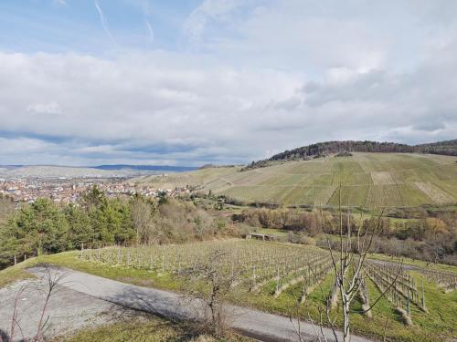 Közeli látványosságok, TiCasa Chic - Zentral - Balkon - Parkplatz - SmartTV - Unique - Kernen in Kernen
