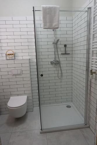 Widok na las, Pod Reglami studio, Szklarska Poręba (foto 10)