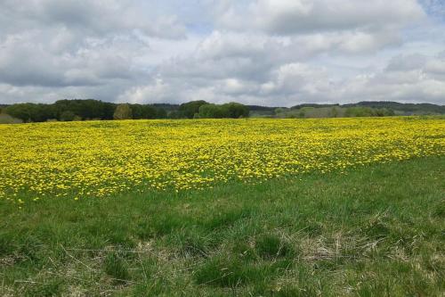 appartement Egliseneuve d'Entraigues