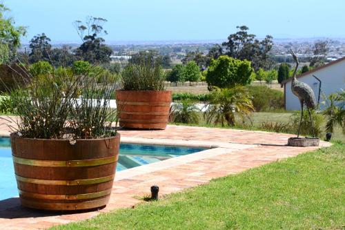 Saxenburg Wine Farm - image 12