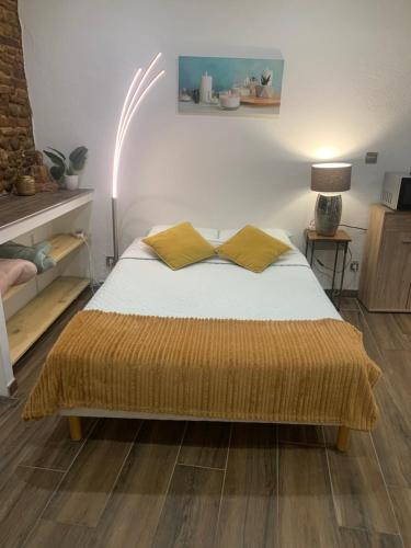 Studio 25m2 en plein cœur de Perpignan