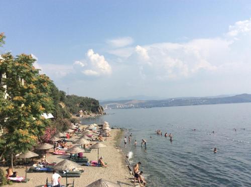 Atamer Doga Resort - image 3