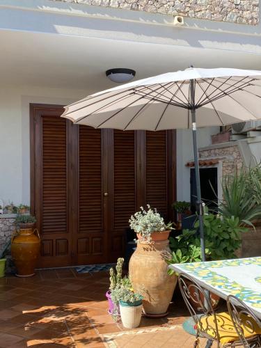 Colapesce - main image