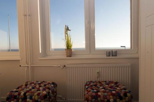 Odde Blick Odde Blick