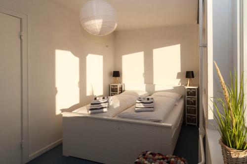 Odde Blick Odde Blick