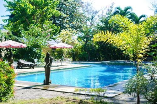 Great Swimming pool
