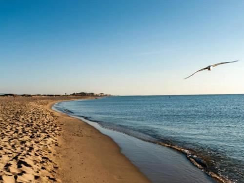 Maison Canet-en-Roussillon, 3 pièces, 6 personnes - FR-1-748-13 - Location saisonnière - Canet-en-Roussillon