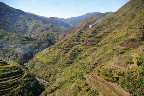 Hiker's Homestay - 주변 환경