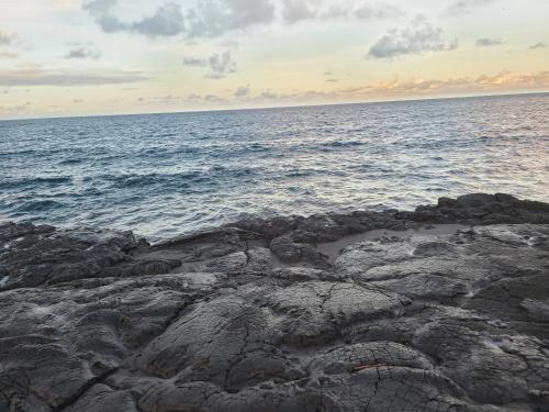 Paradise Park Newly built studio with king bed Paradise Park Newly built studio with king bed