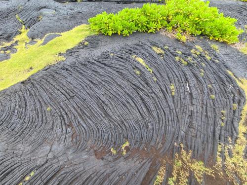 Paradise Park Newly built studio with king bed Paradise Park Newly built studio with king bed