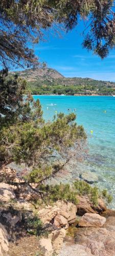 Raf's House - Olbia