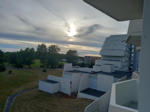 Mimosa M302 - Location saisonnière - Le Coq