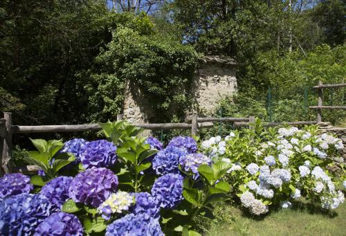 Agriturismo Rossolampone