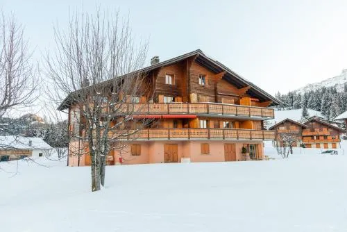 Pic-Chaussy B14 in Les Mosses, Schweiz