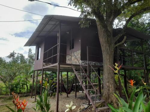 Chava Camping Rio Celeste in Katira