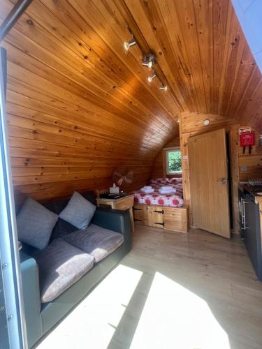 Conifer Cabins 5
