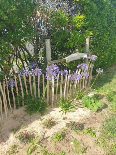 Maison de vacances : Bord de mer