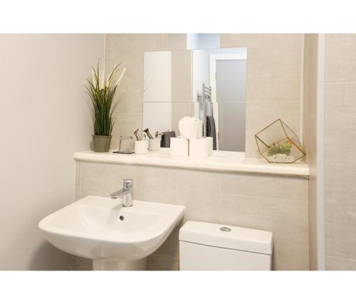 Alfred St Apartment - image 12