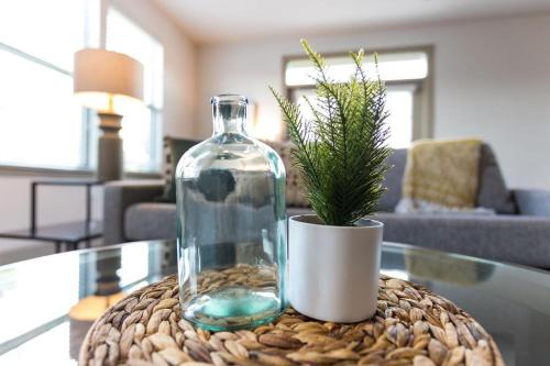 Landing Modern Apartment with Amazing Amenities ID1340 in Franklin, USA