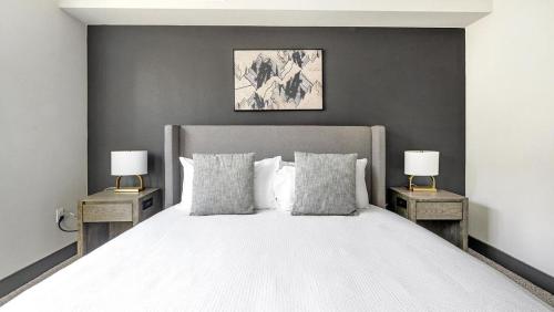 Landing Modern Apartment with Amazing Amenities (ID8595X86) in Parker (CO)