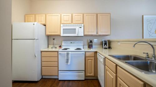 Landing Modern Apartment with Amazing Amenities ID8089X06 in Louisville, USA