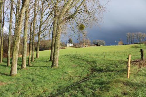Les Sous Bois