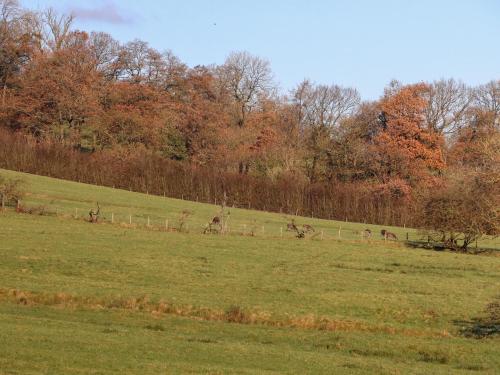 Hill Brook Barn - image 12