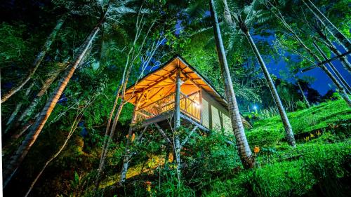 527983466 Hotel Kawa Mountain Retreat